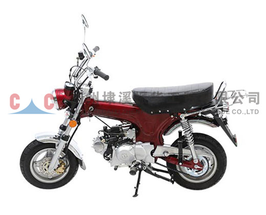 What Timeless Wisdom Does the Journey of Classic Motorcycle Ownership Hold?