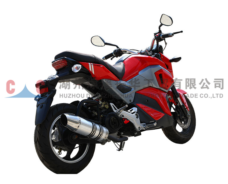 Selection of Motorcycle Engine Type
