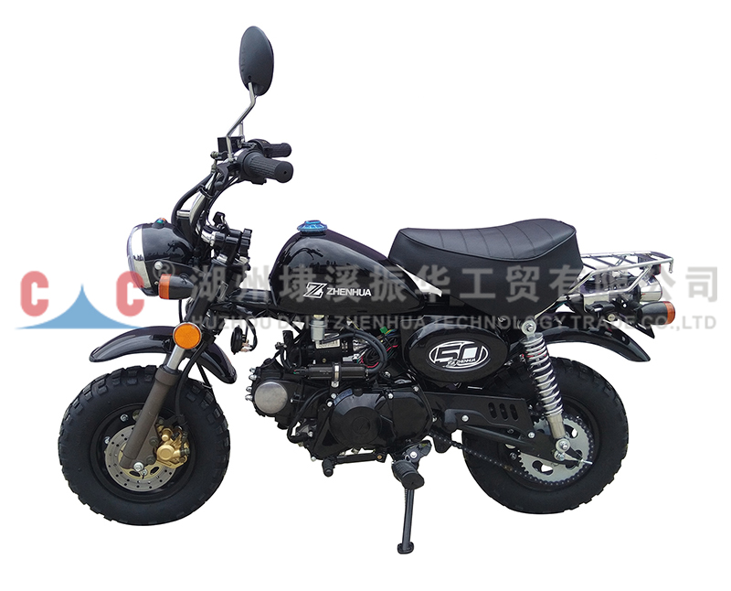 SR Fashion Popular Gasoline Touring  Engine  Motorcycles
