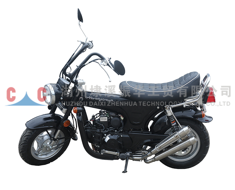 CJL Ttractive Price Two Wheel  Flat Track Motorcycles Gas Powered